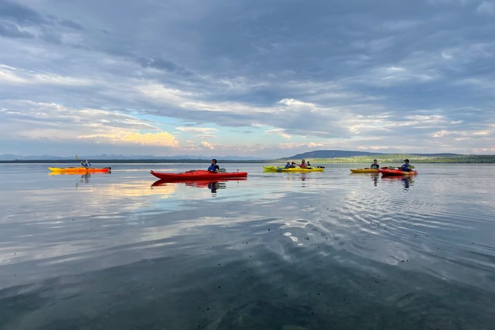 Yellowstone Lake & Hot Springs / 3 Hour Morning or Twilight Tour