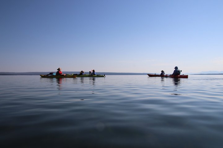 Yellowstone Lake & Hot Springs / 3 Hour Morning or Twilight Tour