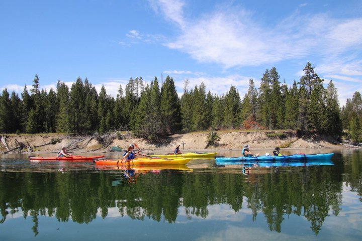 Yellowstone Lake & Hot Springs / 3 Hour Morning or Twilight Tour