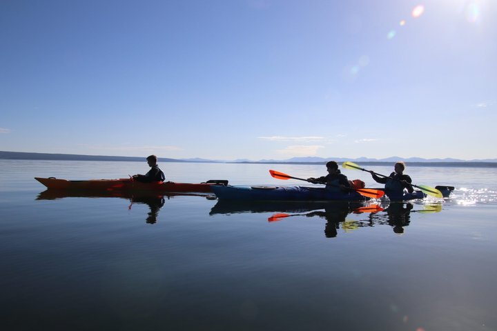 Yellowstone Lake & Hot Springs / 3 Hour Morning or Twilight Tour