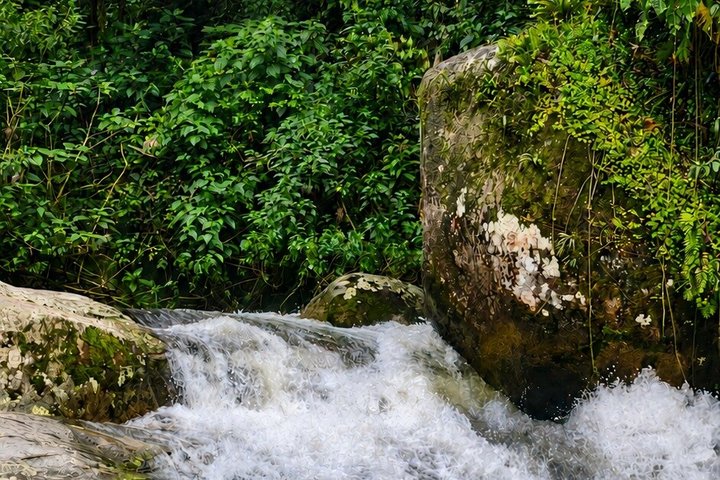 Private Waterfalls and Still Jeep 4x4 6hrs by Jango Paraty