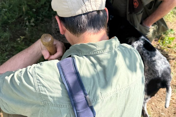 Truffle Hunting Adventure in Nature