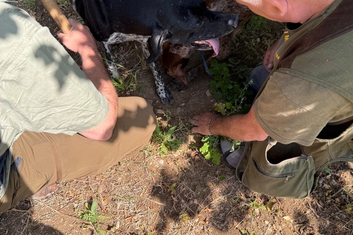 Truffle Hunting Adventure in Nature