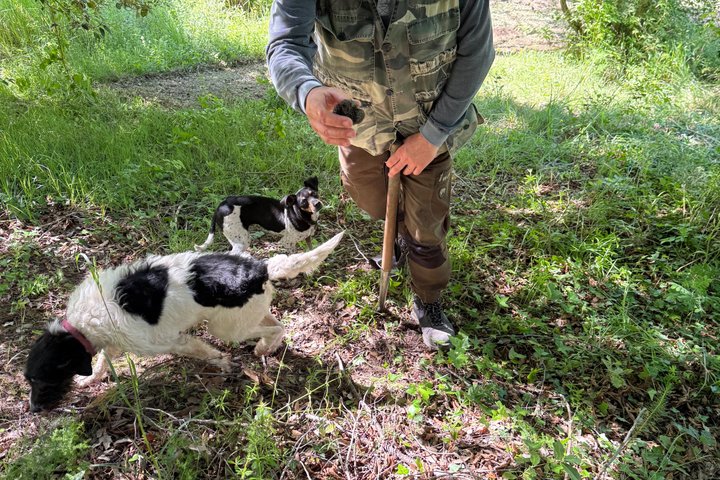 Truffle Hunting Adventure in Nature