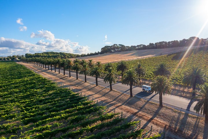 Barossa Wine Tour - Max 6 guests incl Chef's Menu Lunch with wine