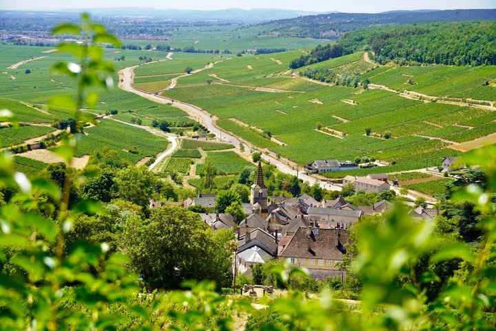 From Dijon: Full day the most of Burgundy with lunch