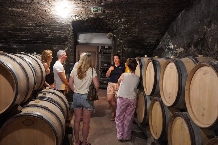From Beaune: Full day the most of Burgundy, with lunch