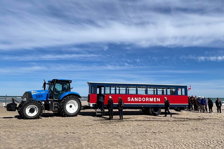 Skagen Private Half Day Tour from Cruise Port
