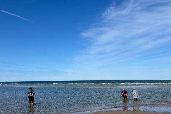 Skagen Private Half Day Tour from Cruise Port
