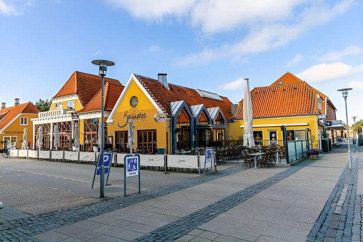 Skagen Private Half Day Tour from Cruise Port