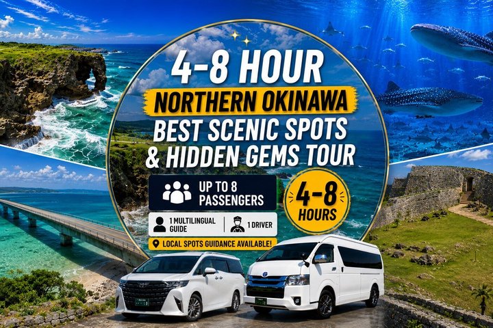 Northern Okinawa Scenic & Hidden Gems Tour 1–8 Guests(4-8H)