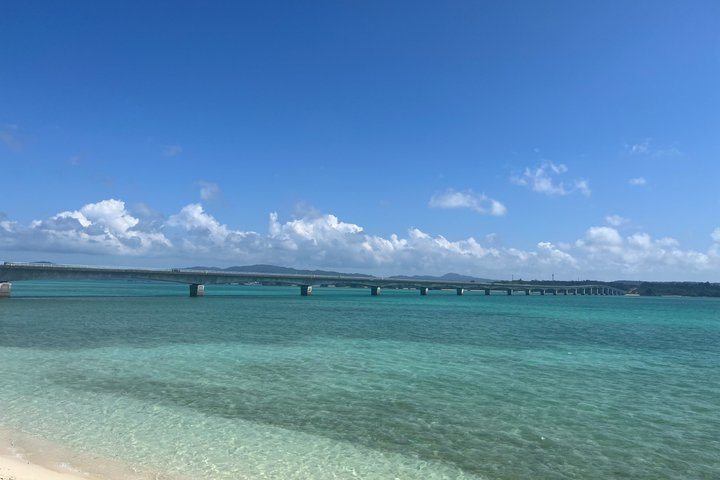 Northern Okinawa Scenic & Hidden Gems Tour 1–8 Guests(4-8H)