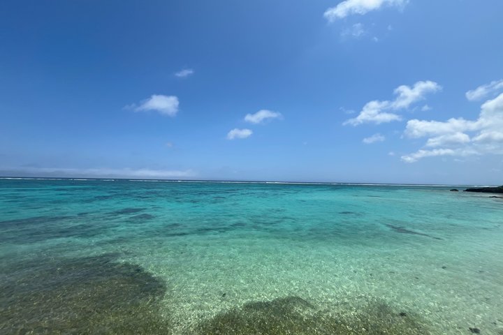 Northern Okinawa Scenic & Hidden Gems Tour 1–8 Guests(4-8H)