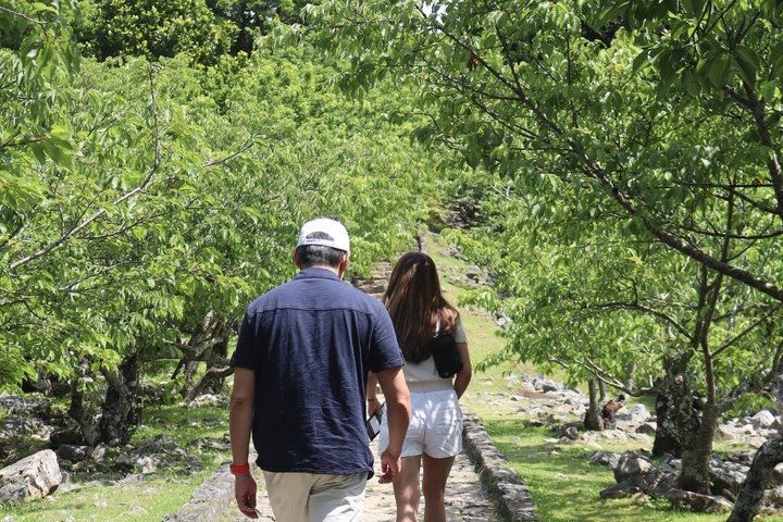 Northern Okinawa Scenic & Hidden Gems Tour 1–8 Guests(4-8H)