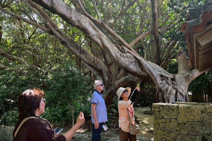 Naha Highlights & Hidden Gems Tour 1–8 Guests(4-8H)