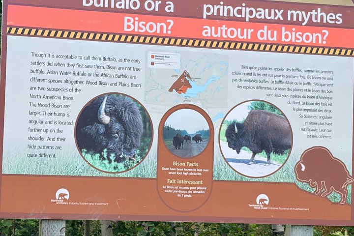 Bison and North Arm Scenic Highway Bus Tour