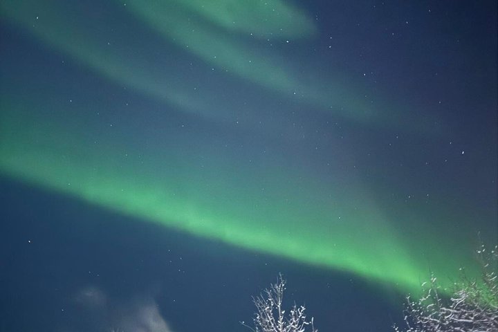 Aurora Hunting Tour in Yellowknife — Shared Bus