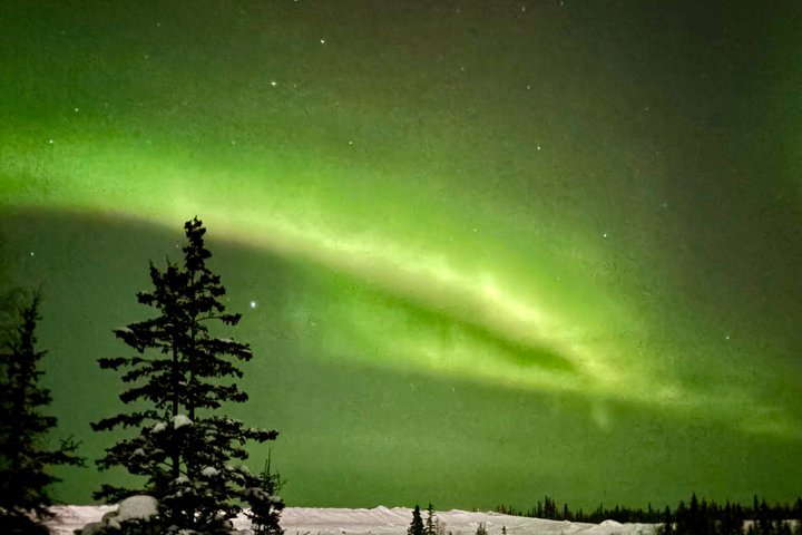 Aurora Hunting Tour in Yellowknife — Shared Bus