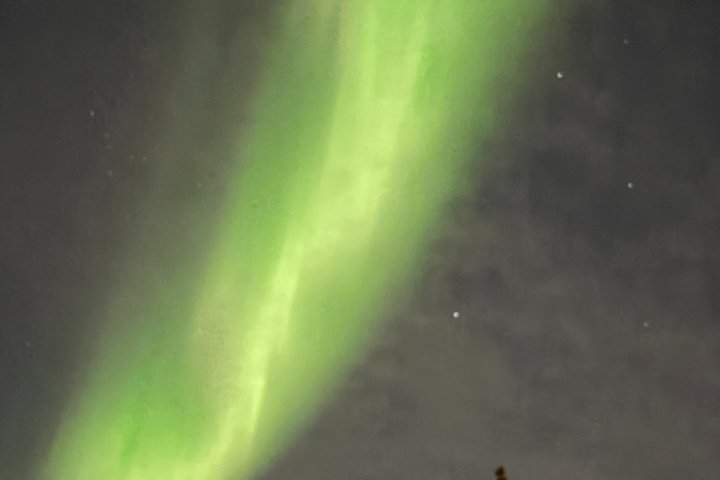 Aurora Hunting Tour in Yellowknife — Shared Bus