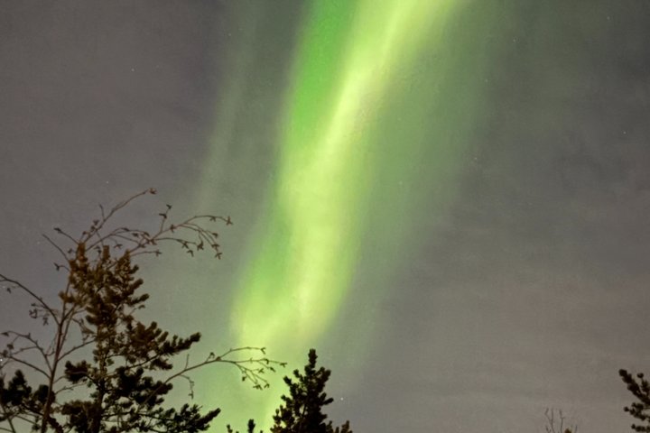 Aurora Hunting Tour in Yellowknife — Shared Bus