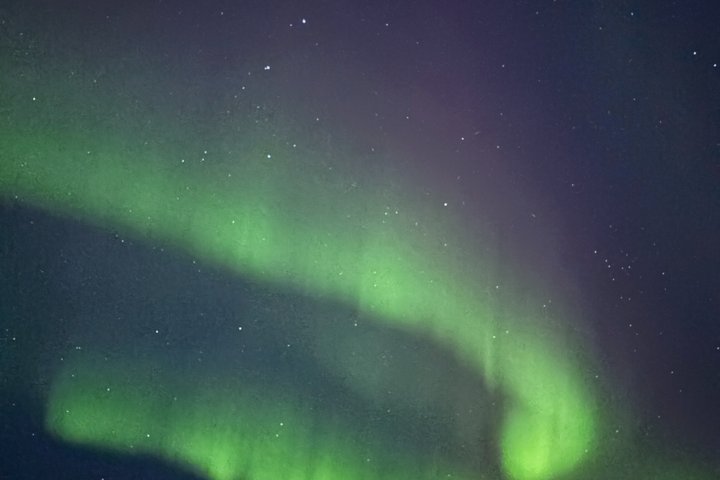 Aurora Hunting Tour in Yellowknife — Shared Bus