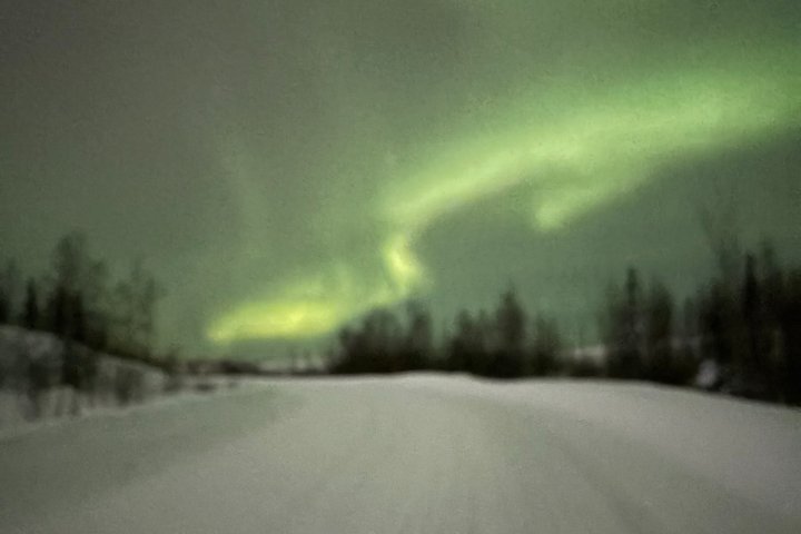 Aurora Hunting Tour in Yellowknife — Shared Bus