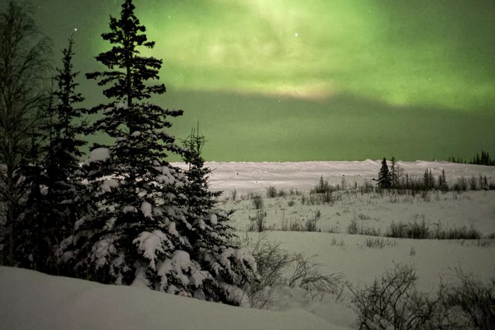 Aurora Hunting Tour in Yellowknife — Shared Bus