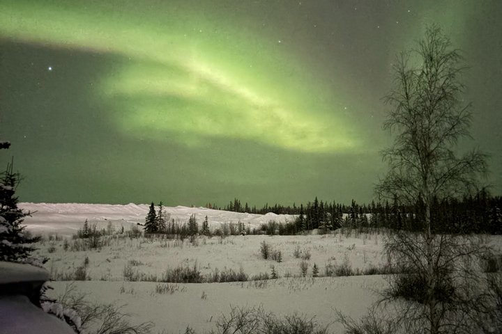Aurora Hunting Tour in Yellowknife — Shared Bus