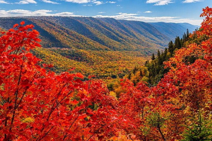 Highland Tours: Cabot Trail Excursion Sydney Cape Breton Island