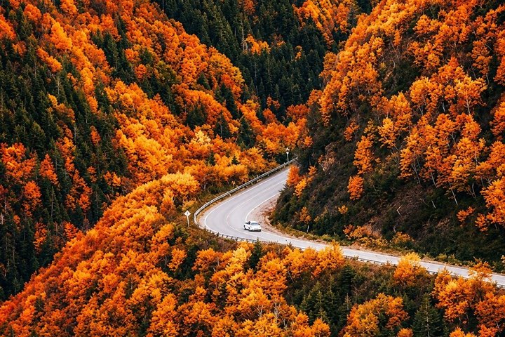 Highland Tours: Cabot Trail Excursion Sydney Cape Breton Island