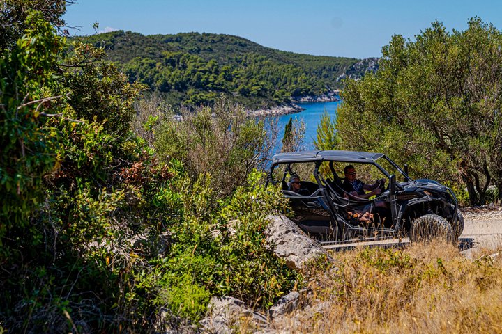 Premium Buggy and Torkul Olive Oil Safari Tour, Vela Luka