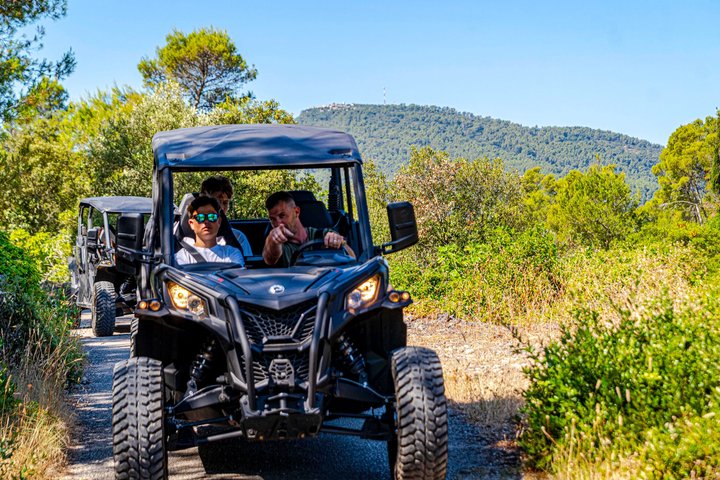 Premium Buggy and Torkul Olive Oil Safari Tour, Vela Luka