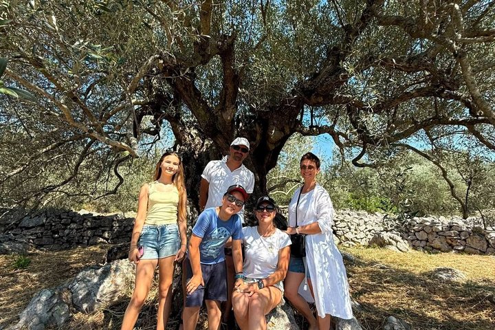 Premium Buggy and Torkul Olive Oil Safari Tour, Vela Luka