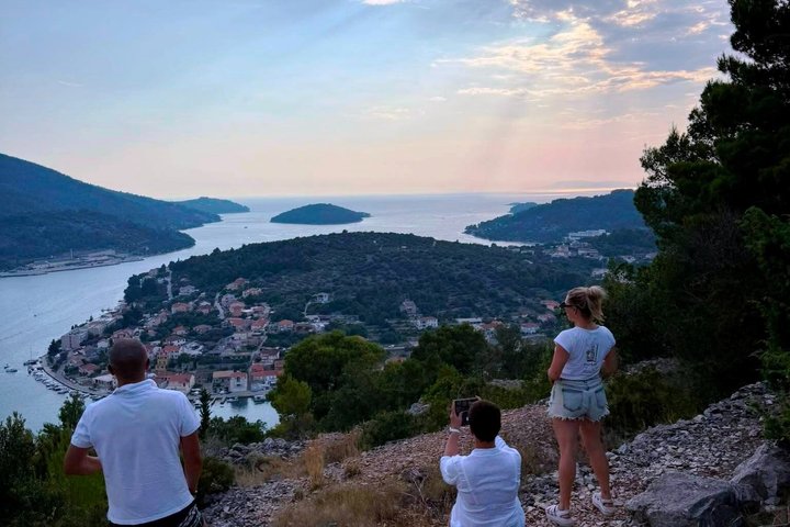 Premium Buggy and Torkul Olive Oil Safari Tour, Vela Luka