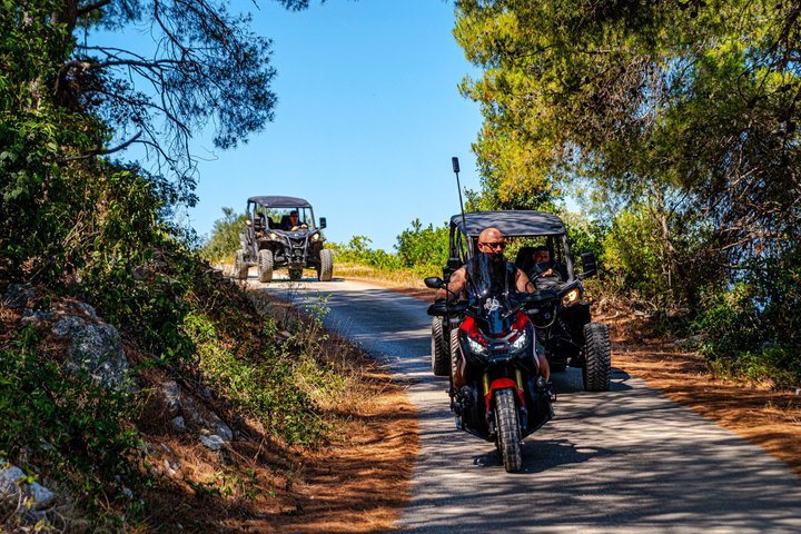 Premium Buggy and Torkul Olive Oil Safari Tour, Vela Luka