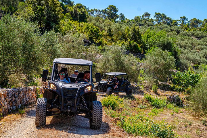Premium Buggy and Torkul Olive Oil Safari Tour, Vela Luka