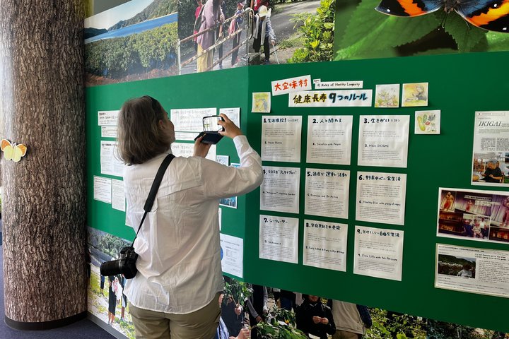 Okinawa Ikigai Blue Zone Tour with Guide and Driver 1–8 Guests