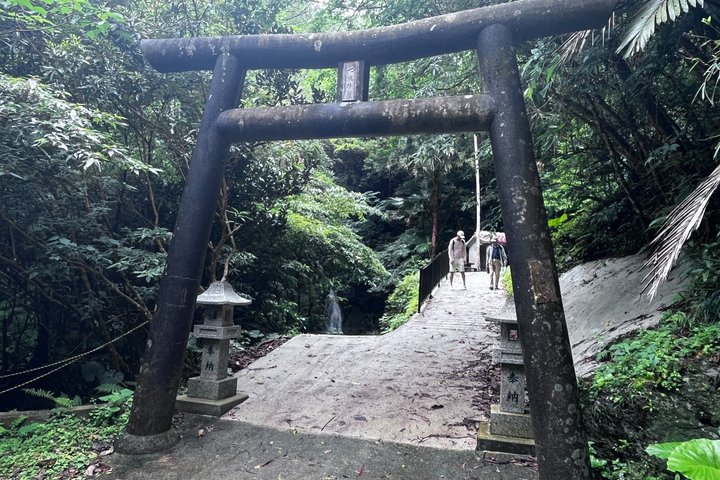 Okinawa Ikigai Blue Zone Tour with Guide and Driver 1–8 Guests