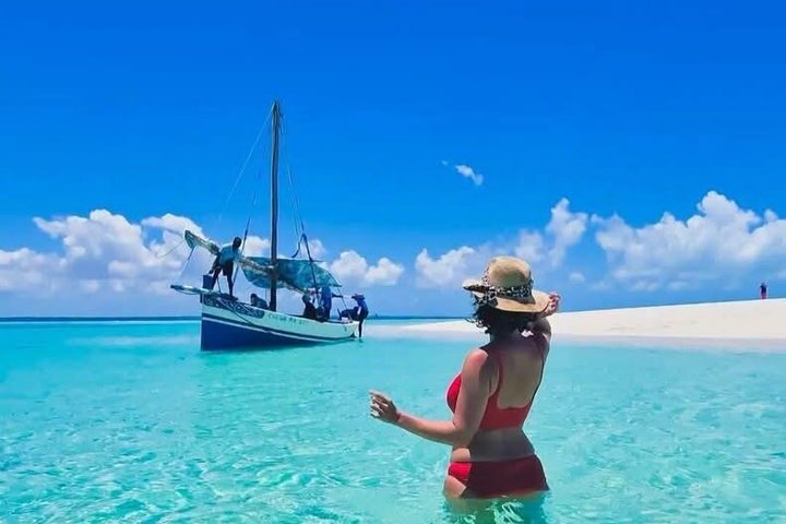 Swimming with DOLPHINS IN MNEMBA