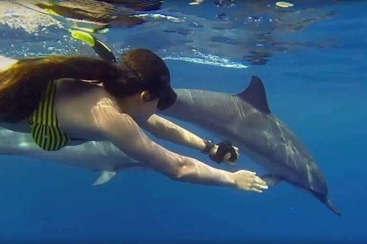 Swimming with DOLPHINS IN MNEMBA