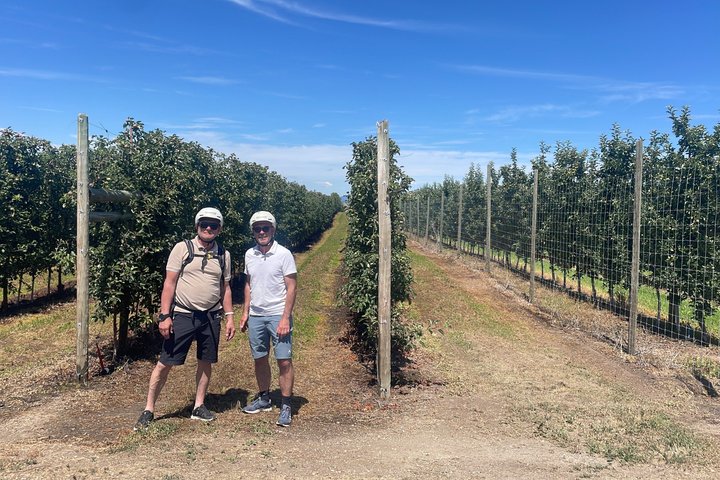 Kelowna Wine Tour by E-Bike with Tastings, Lunch & Okanagan Views