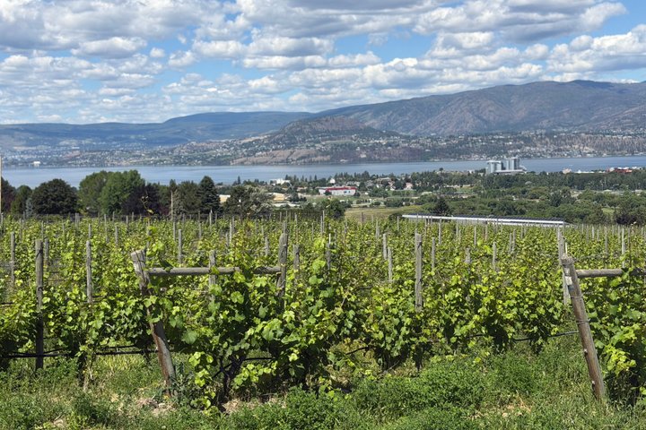 Kelowna Wine Tour by E-Bike with Tastings, Lunch & Okanagan Views