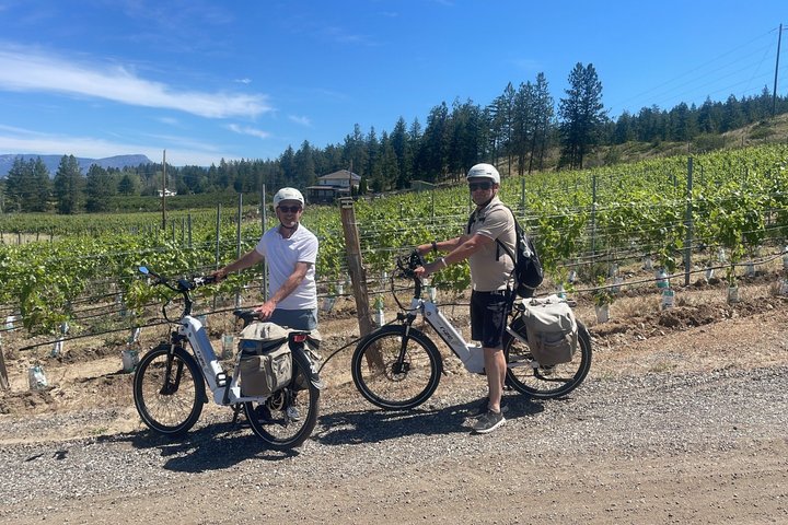 Kelowna Wine Tour by E-Bike with Tastings, Lunch & Okanagan Views