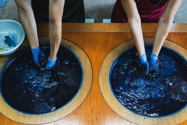 Indigo Dyeing and Matsue Castle With Local and Audio Guide
