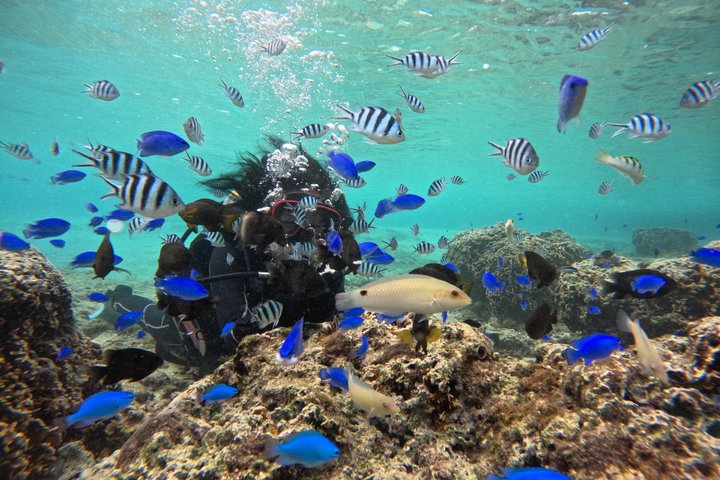 Blue Cave Okinawa Scuba Diving for Beginners
