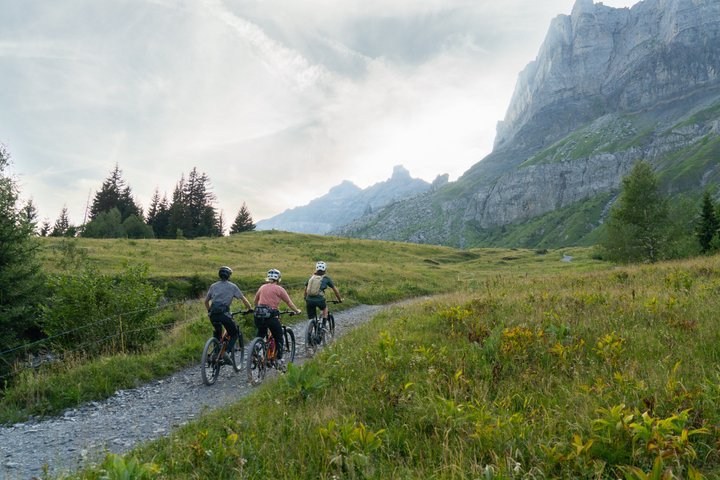 Chamonix: Mont-Blanc Panorama E-bike Tour (Beginner)