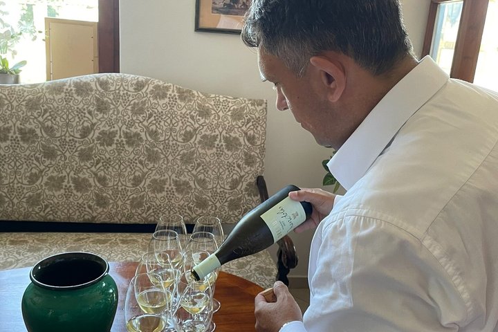Full-Day Tokaj Wine & Cellar Tour from Kosice