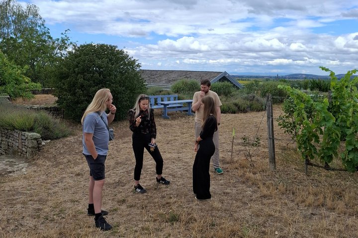 Full-Day Tokaj Wine & Cellar Tour from Kosice