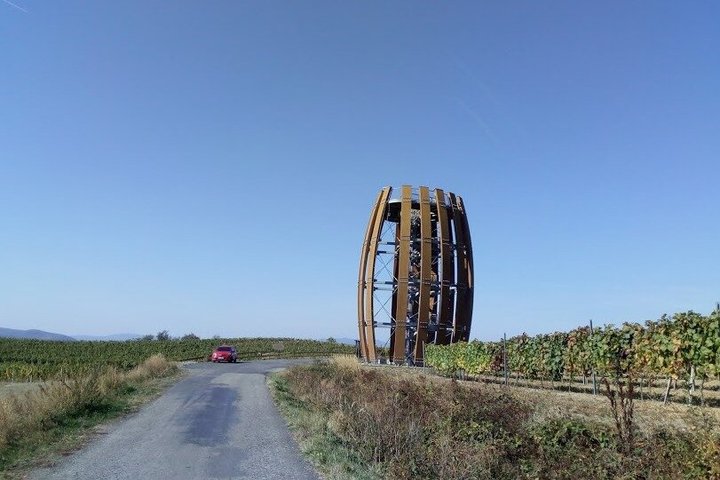 Full-Day Tokaj Wine & Cellar Tour from Kosice