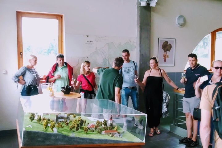 Aszú Like It: The Sweetest Tour in Tokaj